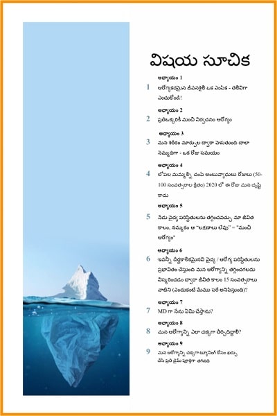 Fine_Tuning_Iceberg_of_Health_Telugu_TOC.jpg