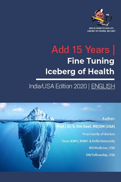 Fine_Tuning_Iceberg_of_health_English.jpg