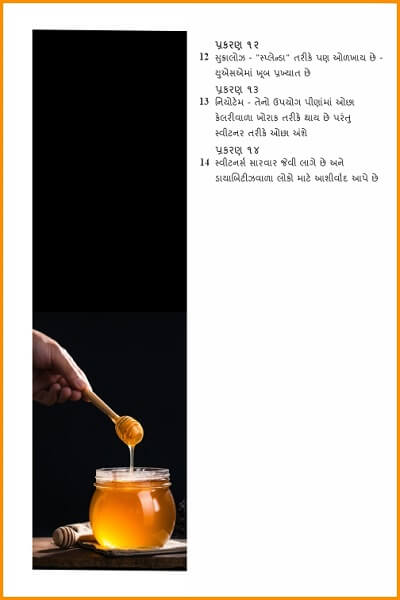 SugarSubstitute_Gujarati-TOC2.jpg